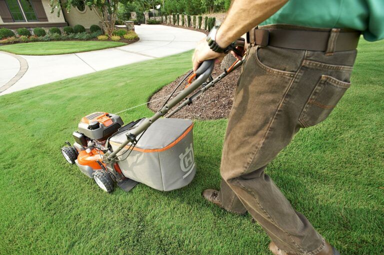 What Is the Difference Between Lawn Care and Lawn Maintenance?