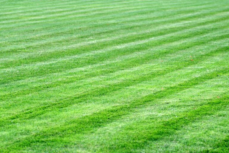 Pro Tips for Commercial Landscaping: Design Smarter, Maintain Less, Impress More