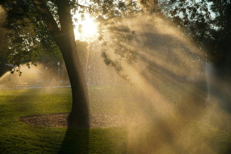 Sunlight streams through the branches of a tree as sprinklers spray water over grass in a park, creating mist and illuminated rays. Picnic tables and lamps are visible in the background.