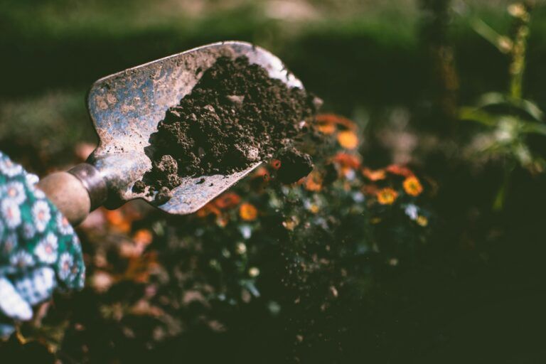 How Often Should You Fertilize Your Commercial Lawn?
