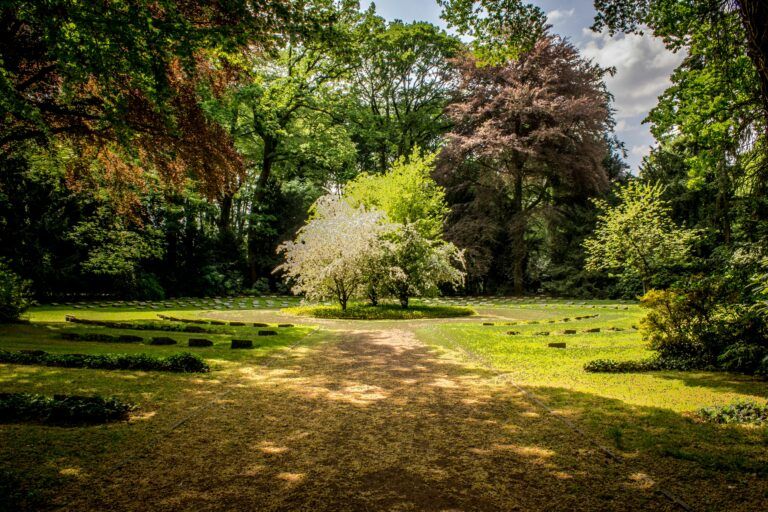 A circular arrangement of stone markers surrounds a blooming tree in a grassy, sunlit clearing, bordered by dense, tall trees and shaded by leafy branches.