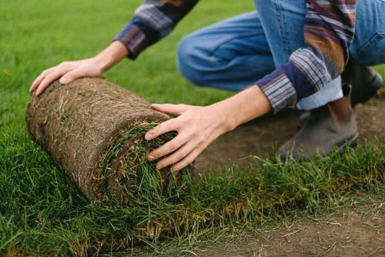 How Professional Landscaping Boosts Property Value