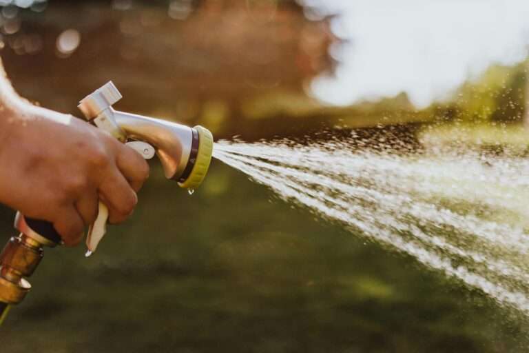 Drip vs. Spray Irrigation: Which System Is Right for Your Landscape?