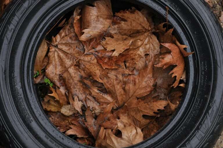 Close-up of brown autumn leaves inside an old black tire, showcasing a fall scene.
