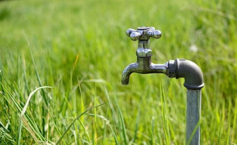 tap, water, meadow, drought, nature, the greenhouse effect, closeup, irrigation, plumber, fittings