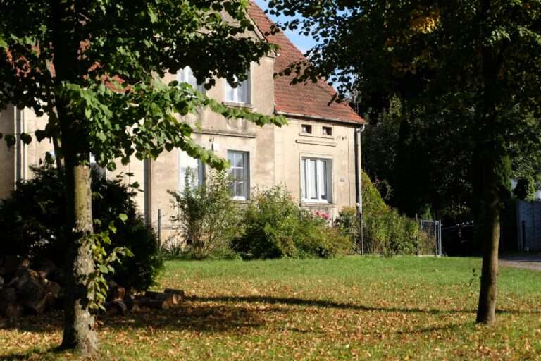 A beige house with a red-tiled roof and white-framed windows is partially shaded by trees. The front yard is grassy with scattered fallen leaves and some bushes near the house.