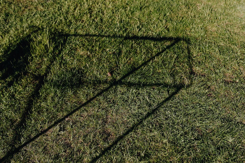 From above of green lawn with abstract shadow drawing on grass on sunny day
